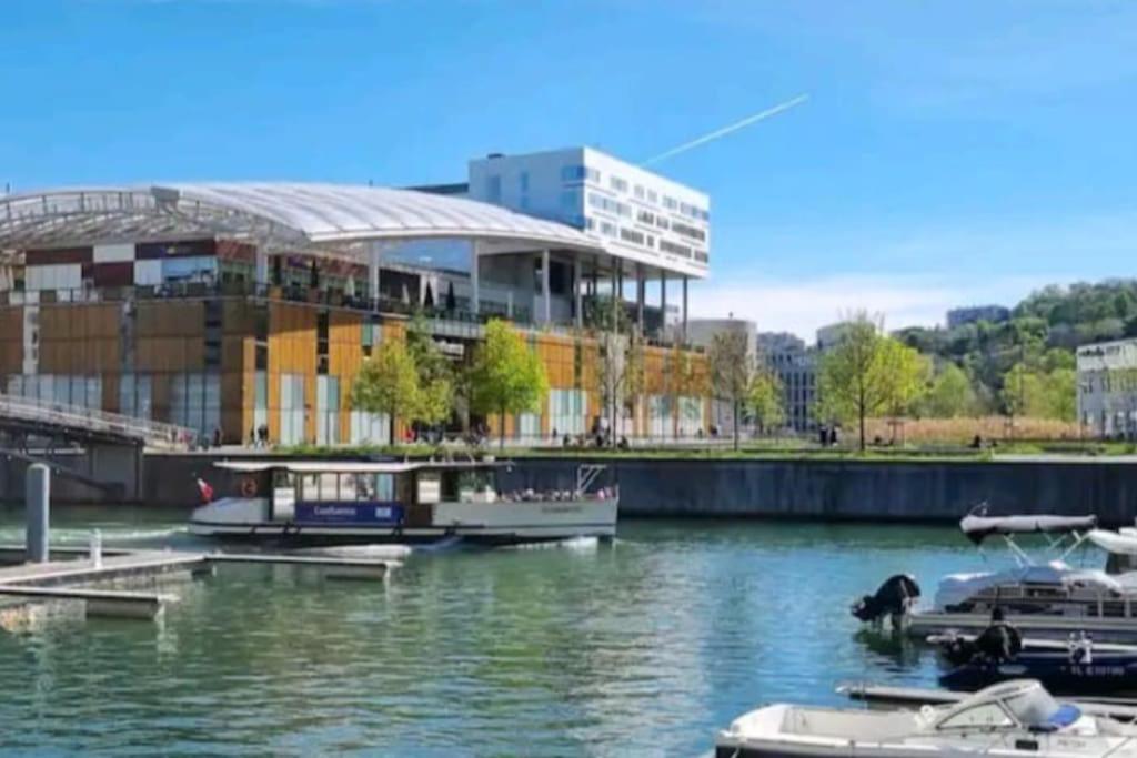 un port de plaisance avec des bateaux dans l'eau en face d'un bâtiment dans l'établissement Appartement dans Péniche atypique et idyllique à Confluence, à Lyon
