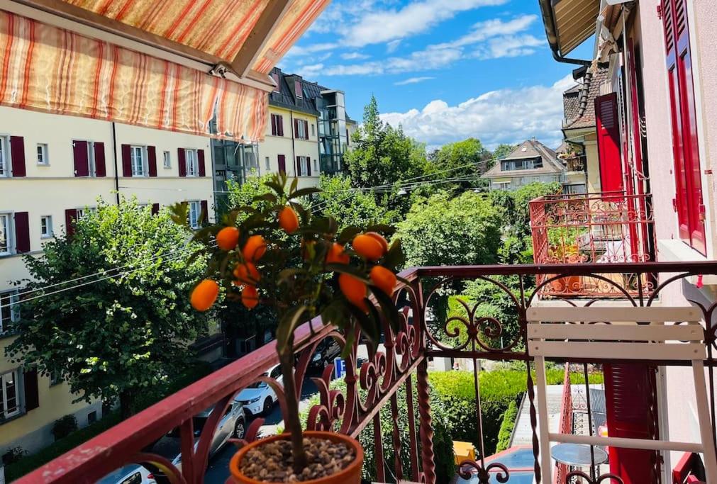 A deux pas du lac et de IMD, Ouchy bel appartement 1