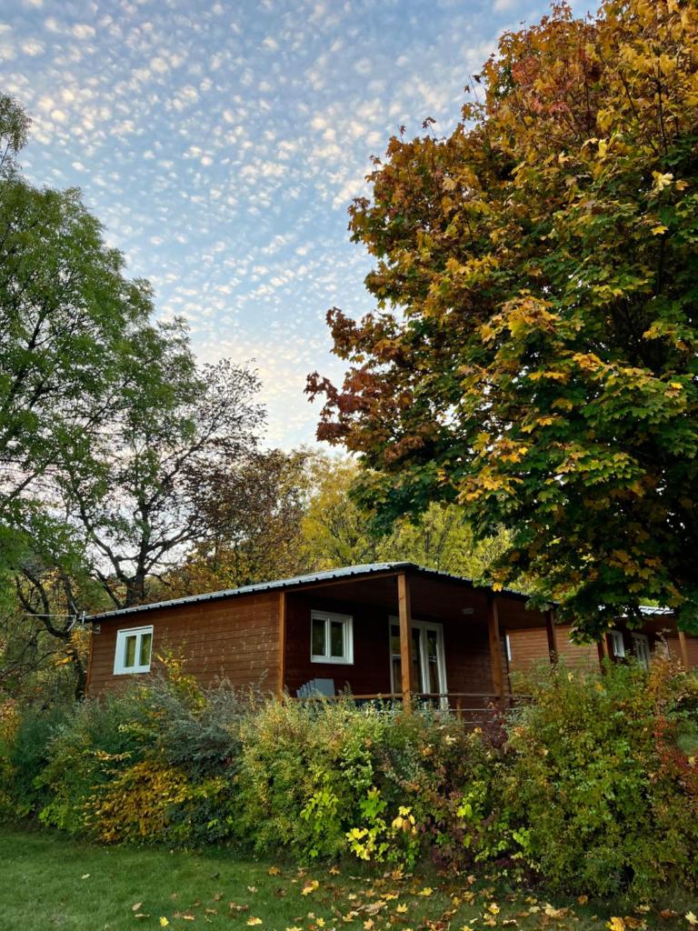 une petite maison en briques au milieu des arbres dans l'établissement Village de chalets et camping La Pierre de l'Aigle, à La Bréole
