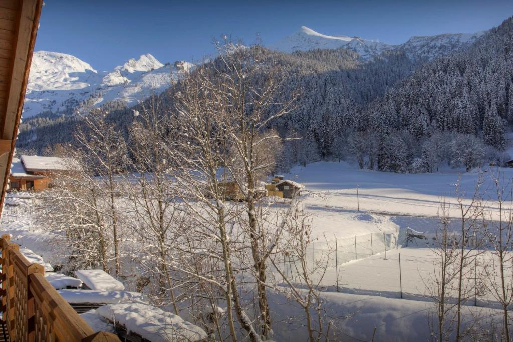 - une vue sur un champ enneigé et les montagnes dans l'établissement Dorealp - OVO Network, à La Clusaz