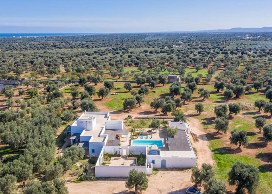 une vue aérienne d'une villa avec piscine dans l'établissement Masseria Tufo Bianco by Raro Villas, à Fasano
