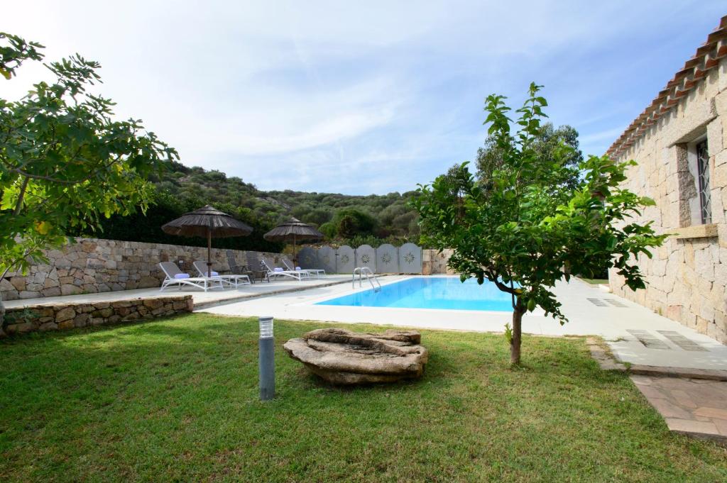 une cour avec une piscine et un arbre à côté d'un bâtiment dans l'établissement Villa Isuledda Lux, à San Teodoro