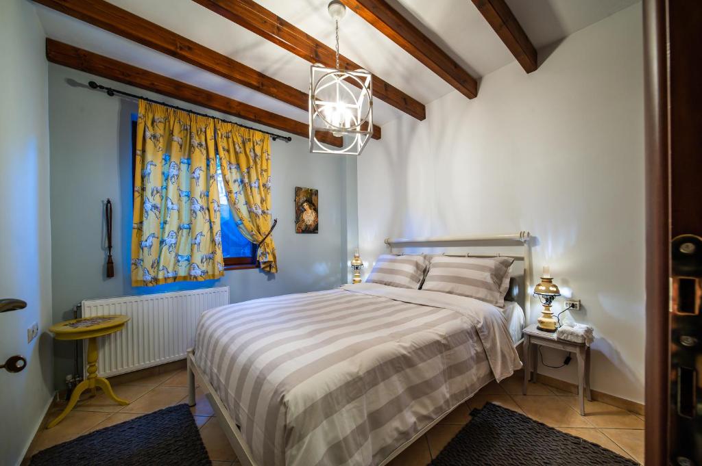 Arachova Mountain Villa 5