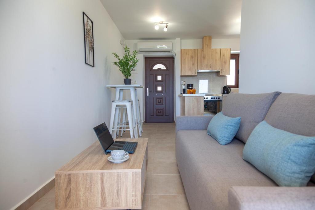 AGIOS PETROS APARTMENTS 8