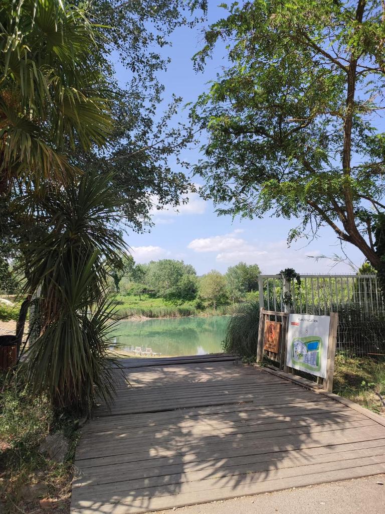 une passerelle en bois avec un lac en arrière-plan dans l'établissement Mobile home tout confort Alexandre, à La Roque-dʼAnthéron
