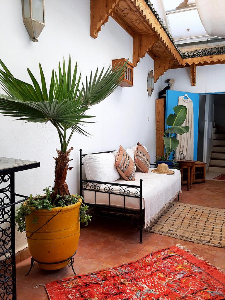 une chambre avec un lit et une plante en pot dans l'établissement Dar Daoud, à Marrakech