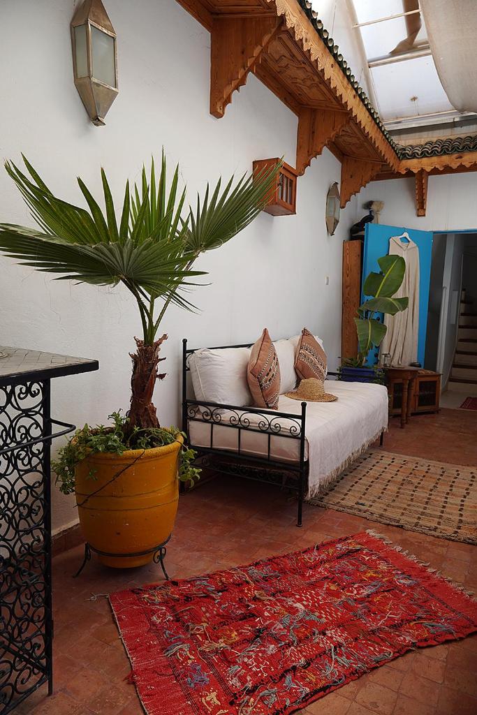 - un salon avec un lit et une plante en pot dans l'établissement Dar Daoud, à Marrakech
