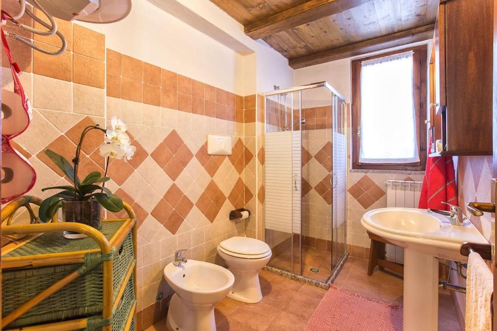 une salle de bain avec toilettes, lavabo et douche dans l'établissement Villa Olive tree, immersa nella natura per relax e quiete, à Putifigari