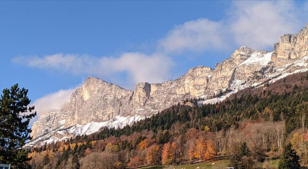 Appartement de plain-pied en montagne avec vue merveilleuse sur le massif de Belledonne 6