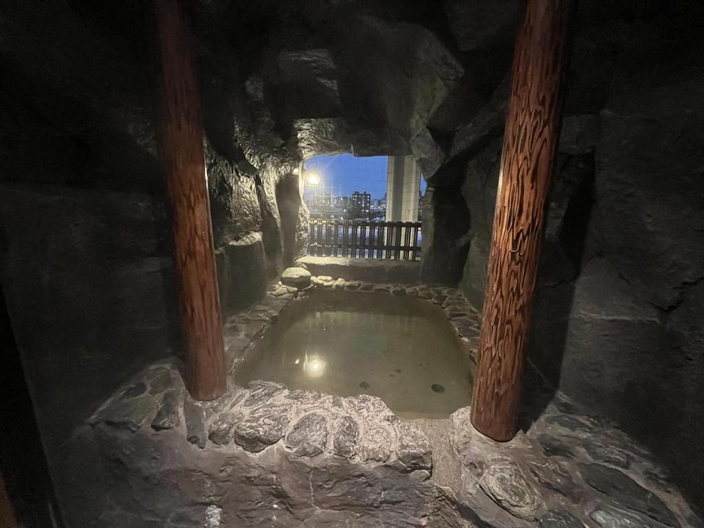 une grotte avec un bassin d'eau dans un bâtiment dans l'établissement Hotel Rio (Adult Only), à Sapporo