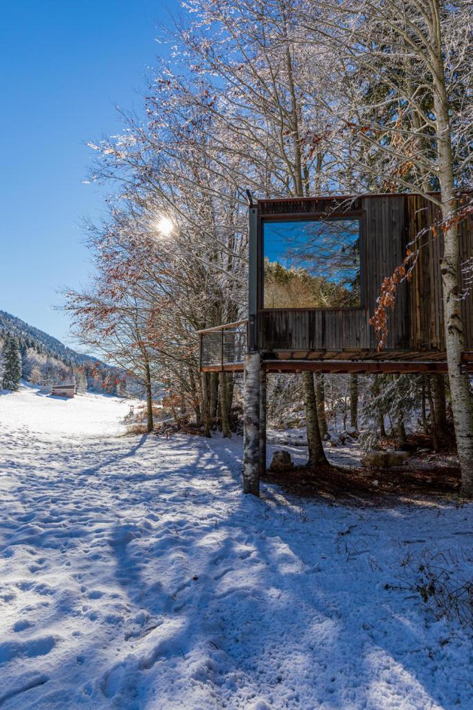 une fenêtre sur un arbre dans la neige dans l'établissement Cabane perchée La Résilience sur le plateau du Vercors, à Autrans