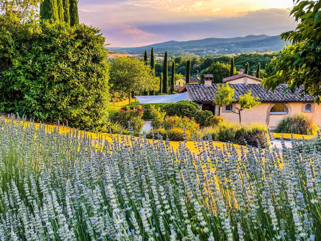 un jardin avec des fleurs violettes devant une clôture dans l'établissement Countryhouse Villa Rey, à Panicale