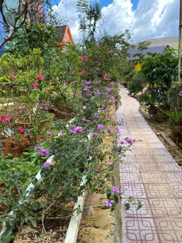 Lâm Viên Garden Homestay