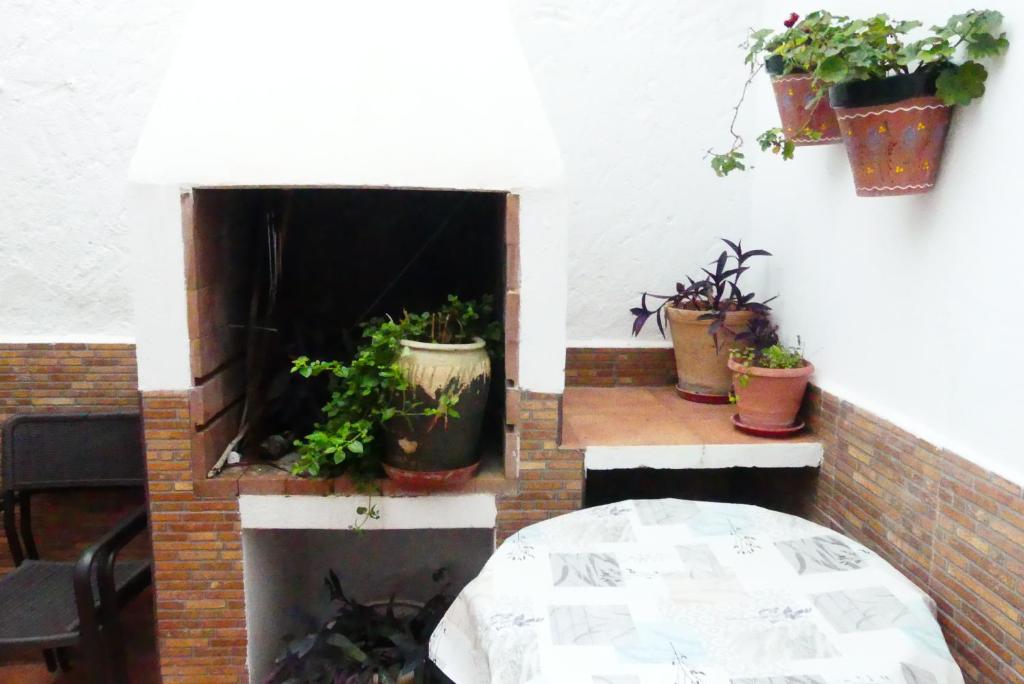 El patio de Marcos 2