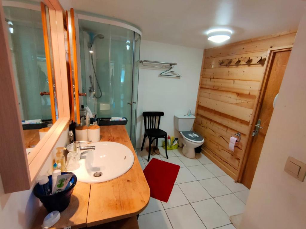 une salle de bain avec un lavabo, une douche et des toilettes dans l'établissement La Duchère 6 personnes Le Plan La Giettaz, à La Giettaz