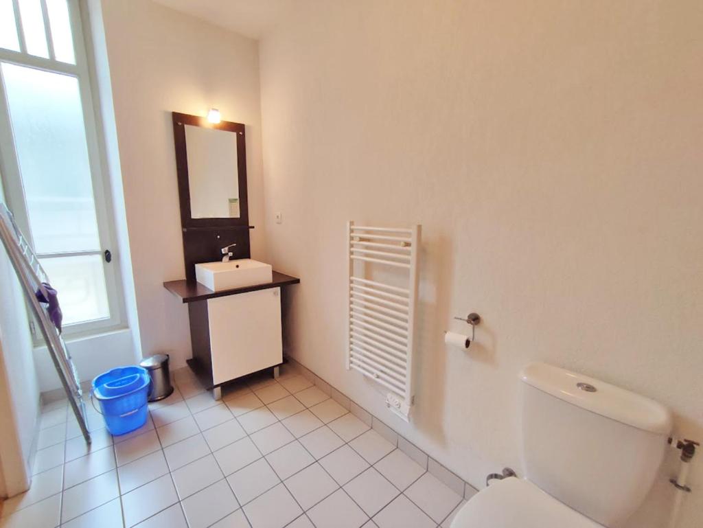 une salle de bain avec toilettes, lavabo et miroir dans l'établissement La petite ourse, T2, centre Luchon, wifi, casier à skis, ascenseur, 4 personnes, à Luchon