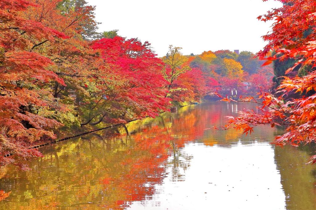 une rivière en automne avec des arbres rouges et orangers dans l'établissement Hotel Jogakura, à Aomori