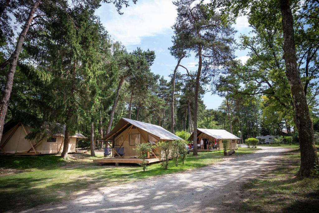 un groupe de tentes dans une forêt avec un chemin de terre dans l'établissement Camping La Pinède, à Excenevex
