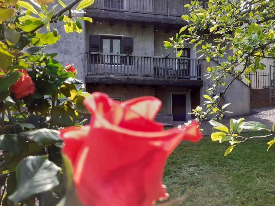 Cà dei Zoani casa vacanze 022139 AT 722787 5