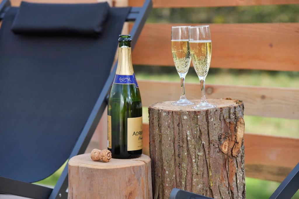 - une bouteille de champagne et deux verres sur une crevette dans l'établissement Bulle Ecureuil, à Quarré-les-Tombes 12 autres photos