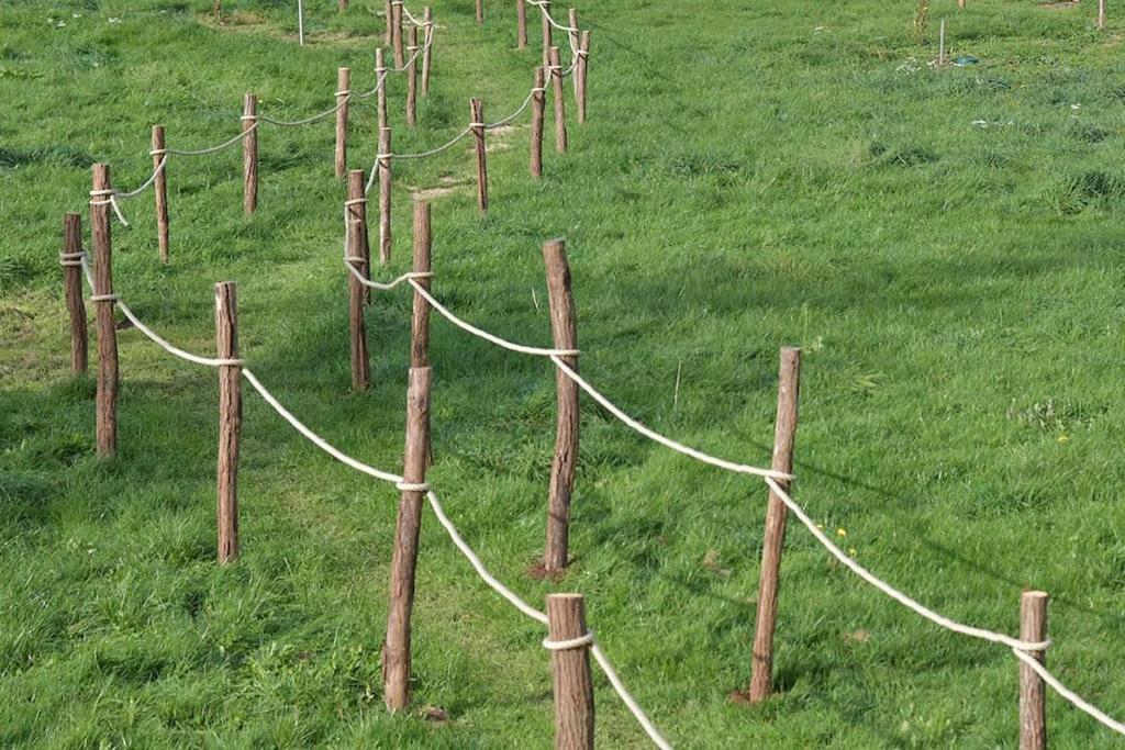 Photo de la galerie de l'établissement Bulle Hirondelle, à Quarré-les-Tombes 11 autres photos