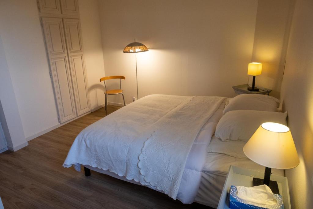 Appartement de plain-pied en montagne avec vue merveilleuse sur le massif de Belledonne 5