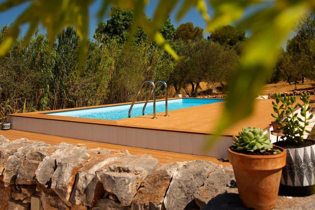 - une piscine dans une cour avec deux plantes en pot dans l'établissement Beautiful Trulli in the heart of the Valle d Itria, à Ostuni