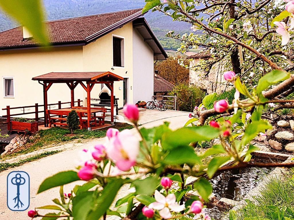 Casa Vacanze Antico Eremo, tra natura e tradizione 2