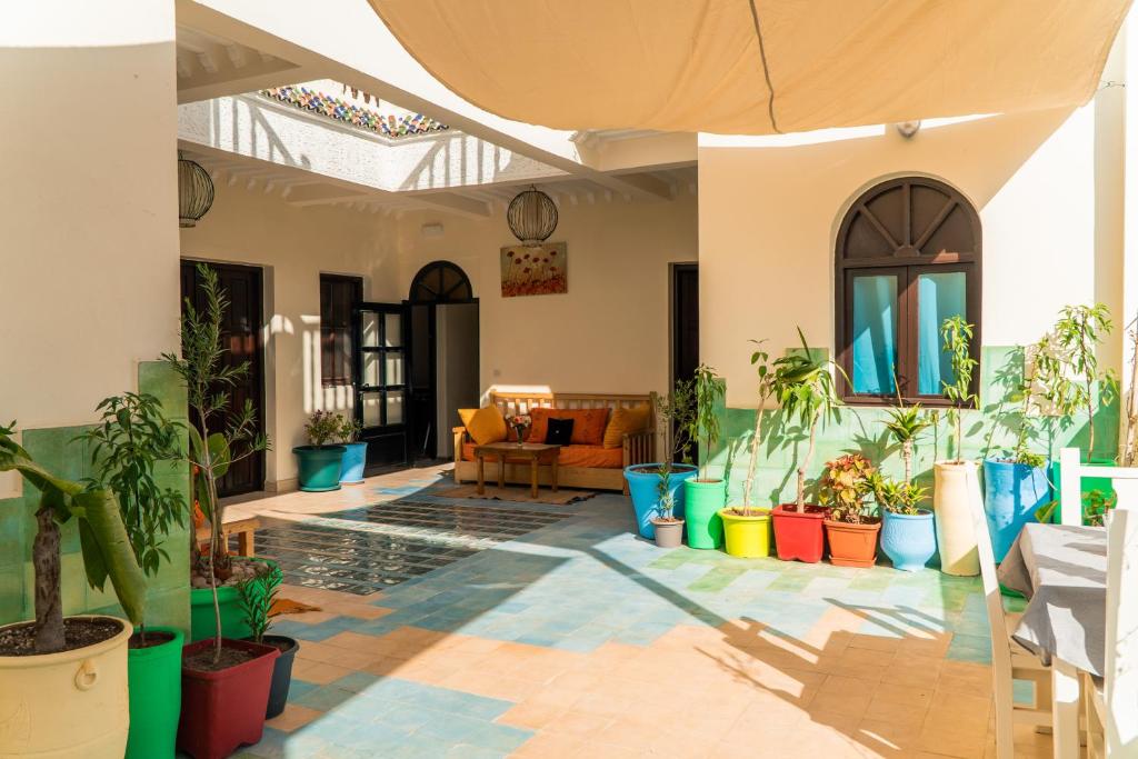 une terrasse avec des plantes en pot et un parasol dans l'établissement ArtHouse Cinema Hotel, à Essaouira