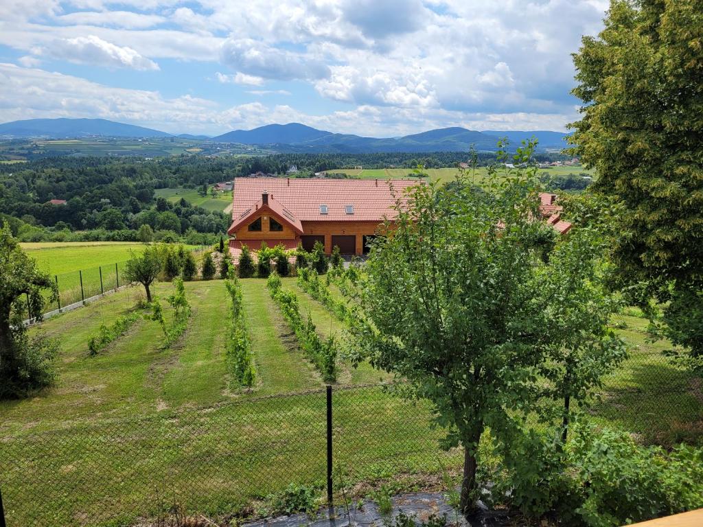 Fantastic View Vineyard Beskid Mountains 3