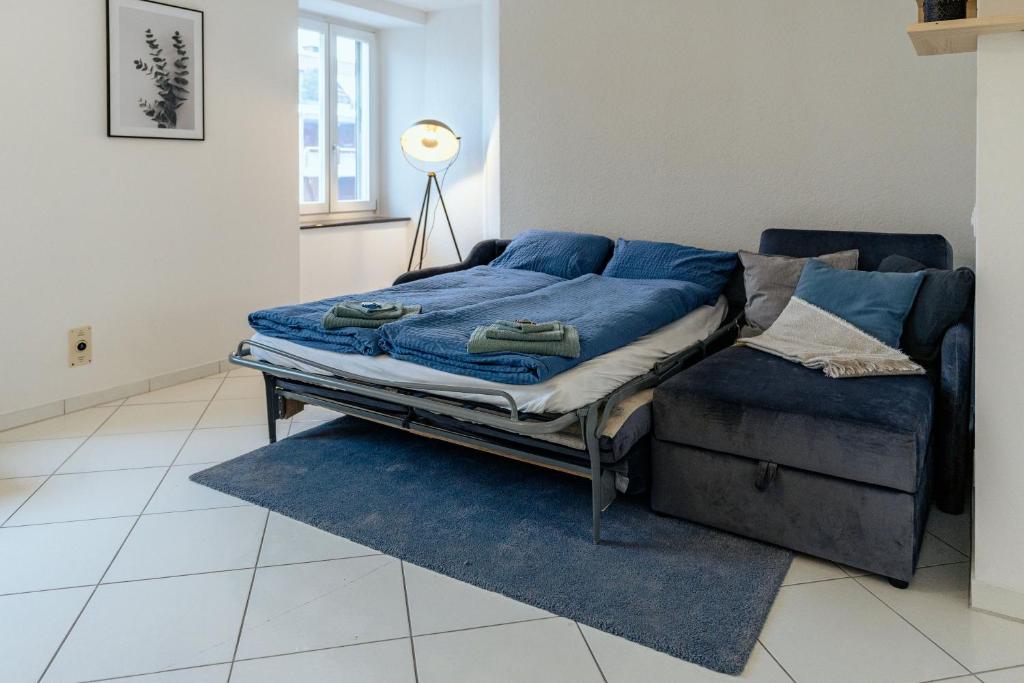Apartment in the city center with free parking 8