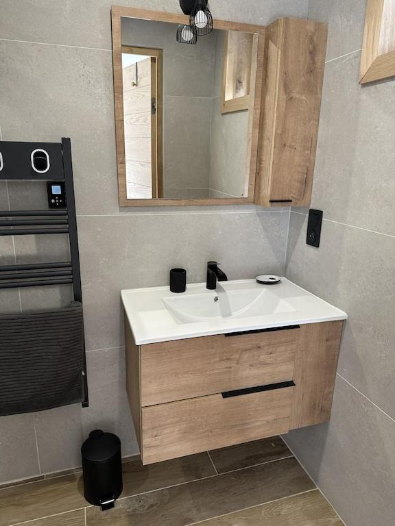 une salle de bain avec un lavabo et un miroir dans l'établissement LE REFUGE LES 2 ALPES 1800, à Les Deux Alpes 15 autres photos