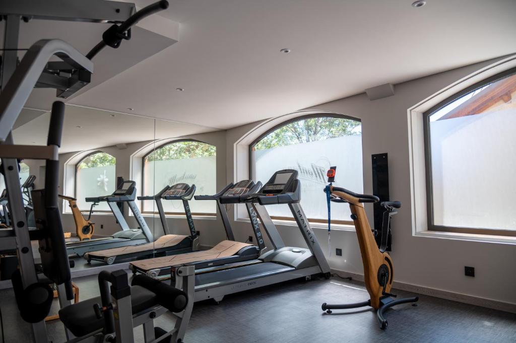 une salle de sport avec plusieurs machines à bande de roulement et des fenêtres dans l'établissement Montana Chalet Hôtel & Spa, au Sauze