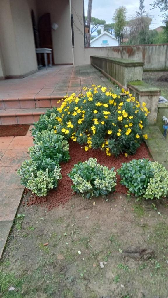 Photo de la galerie de l'établissement Villa Gabry e Villa Fiorita, à Camaiore 58 autres photos