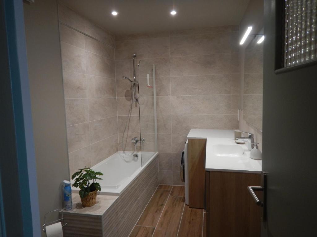 une salle de bain avec une baignoire, un lavabo et une douche dans l'établissement Studio Quartier Château - Wifi - Garage individuel à clé - Electroménager complet, à Pau