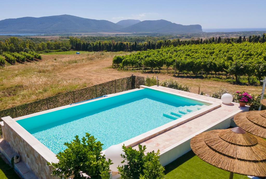 - une piscine à débordement dans une villa avec un vignoble dans l'établissement Residenza alla Collina & Romantic SPA, à Porto Conte 104 autres photos