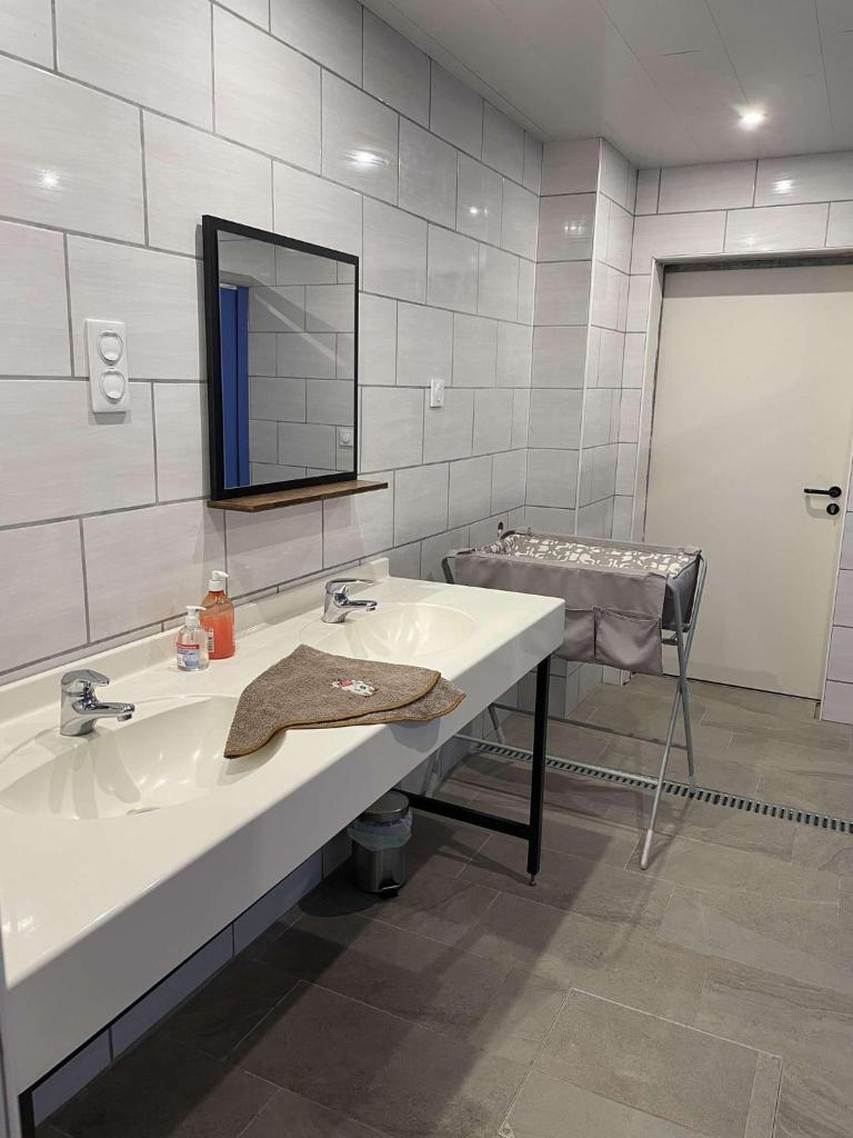 une salle de bain avec un lavabo et un miroir dans l'établissement Kota à la ferme, à Beaumont-en-Argonne