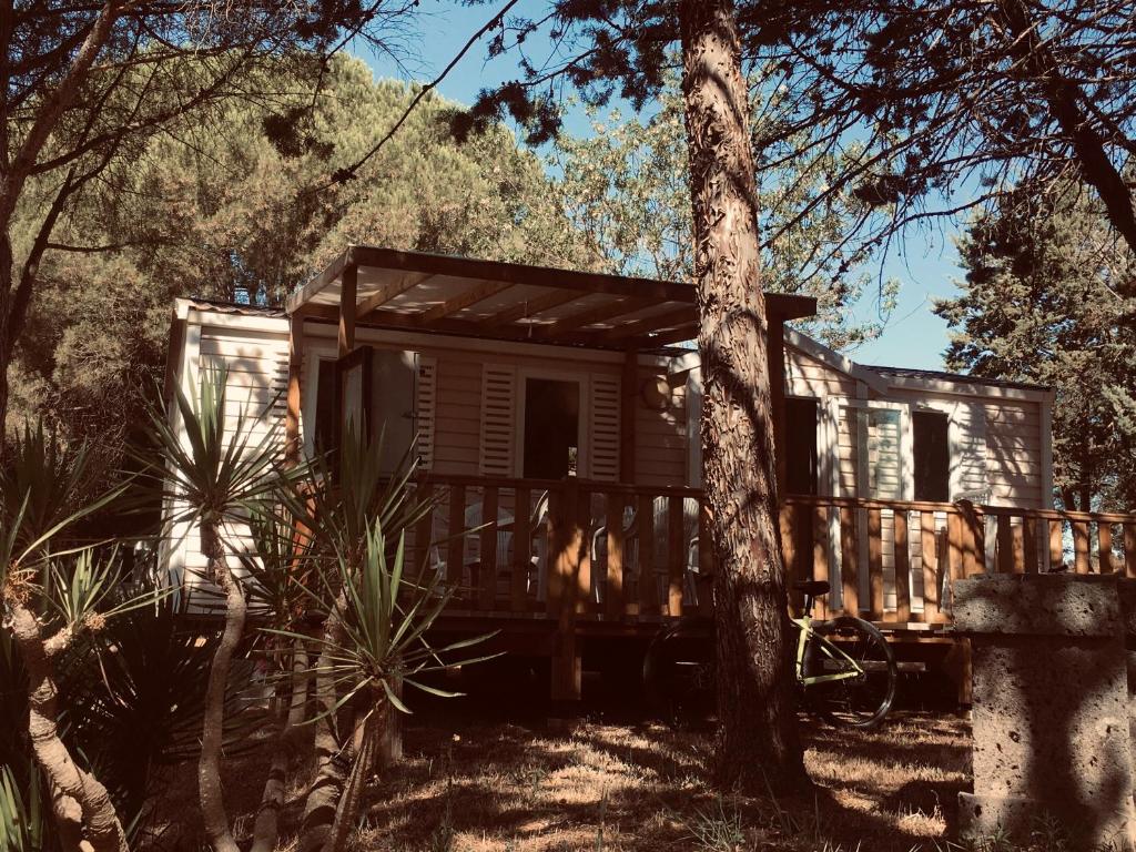 une cabane dans les bois avec un arbre dans l'établissement parc des 7 fonts, à Agde