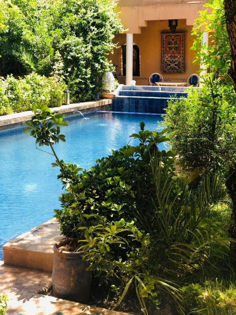 une piscine avec des plantes devant une maison dans l'établissement Riad Tama & spa, à Ouarzazate
