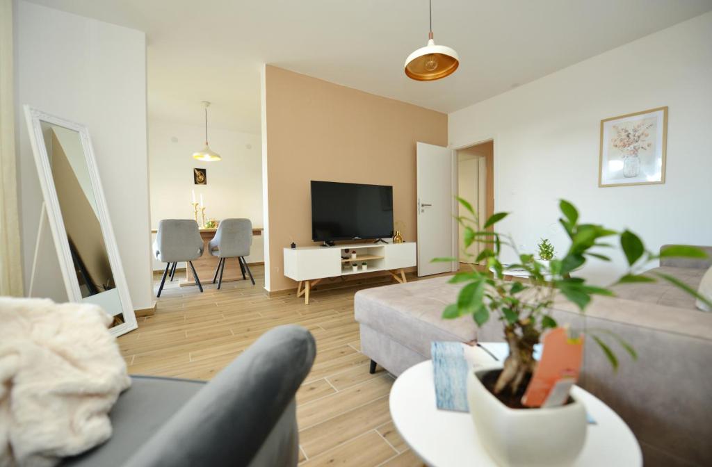 Apartman Lola 5