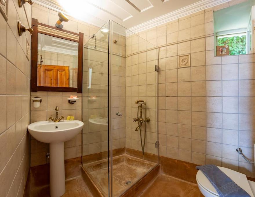 Pano Rouga - PONTZOS traditional stonehouse 7