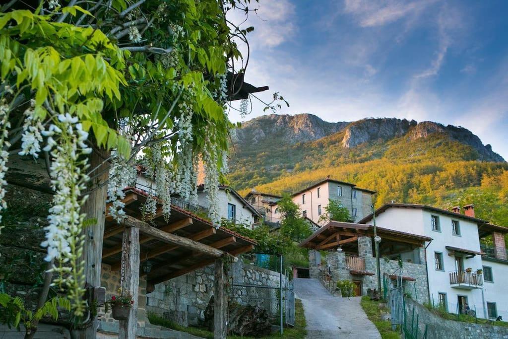un village avec des maisons et une montagne en arrière-plan dans l'établissement Agriturismo dal nonno Merico, à Corfino