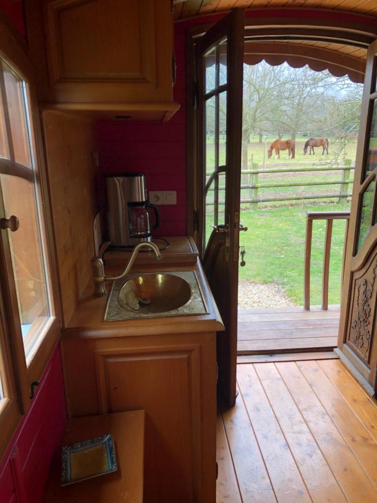une cuisine avec évier et vue sur un pâturage de chevaux dans l'établissement ROULOTTE CAPUCINE, à Ablon