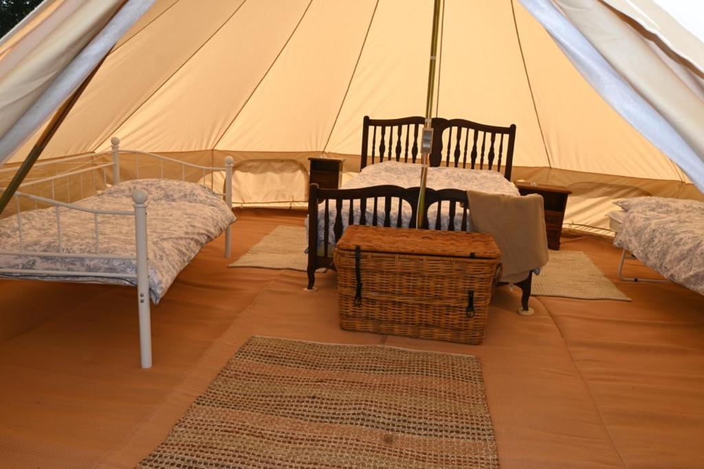 une tente avec deux chaises et un lit. dans l'établissement Chateau Morinerie Glamping, à Villiers