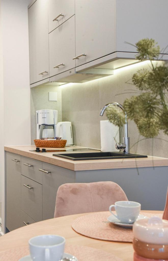Apartamenty na Wyspie - Villa Park - Parking 3