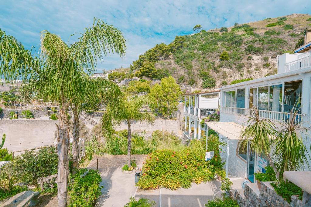 vue extérieure d'un bâtiment avec des palmiers dans l'établissement Hotel Ferdinando Beach & Thermal Spa, à Ischia