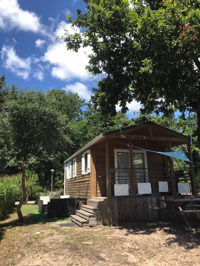 une cabane dans les bois avec un arbre dans l'établissement Chris et Sabrina - Camping Les Viviers 4 étoiles, à Lège-Cap-Ferret