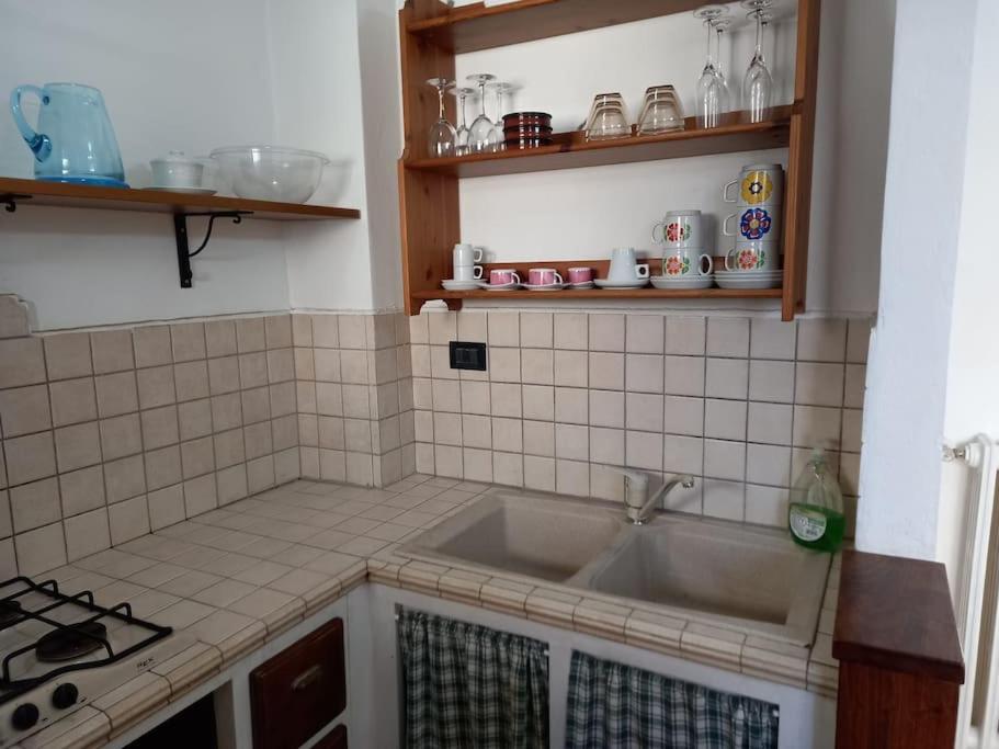 CASA LOLA 3