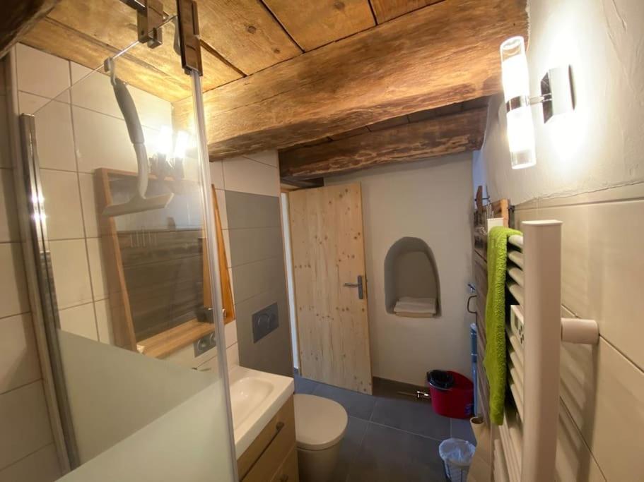Dans hameau, près des pistes logement de plein pied au calme 3