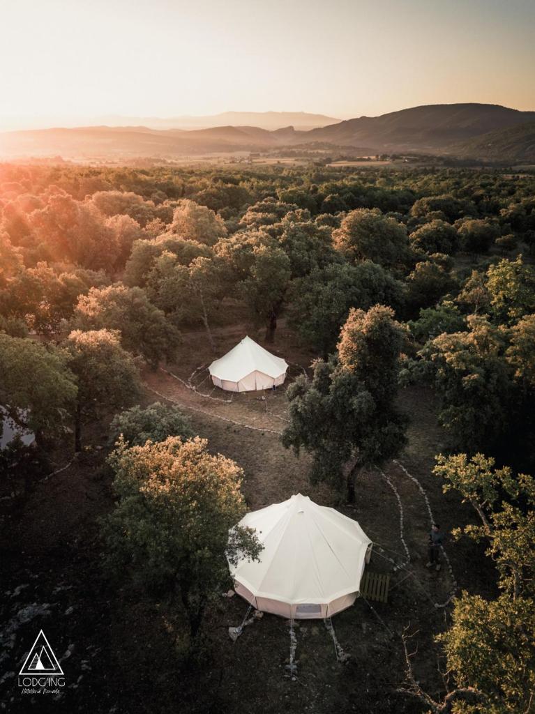 Deux tentes au milieu d'un champ arboré dans l'établissement Lodg'ing Nature Camp Luberon, à Saint-Michel-lʼObservatoire